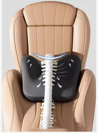 AutoComfort Lumbar Pillow